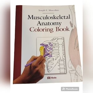 Musculoskeletal Anatomy Coloring Book by Joseph E. Muscolino (2004) Textbook